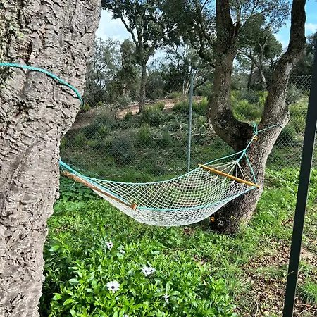 Ses Alzines Lodge