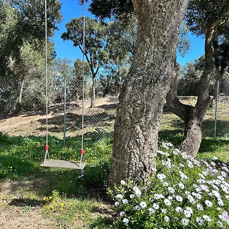 Ses Alzines Lodge