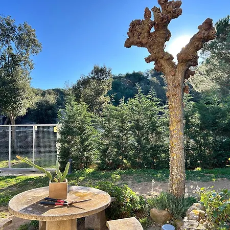 Ses Alzines Lloret de Mar